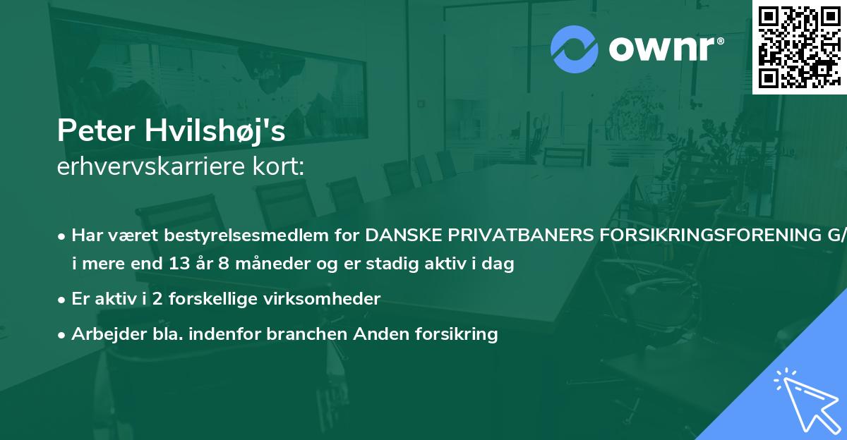 Peter Hvilshøj's erhvervskarriere kort