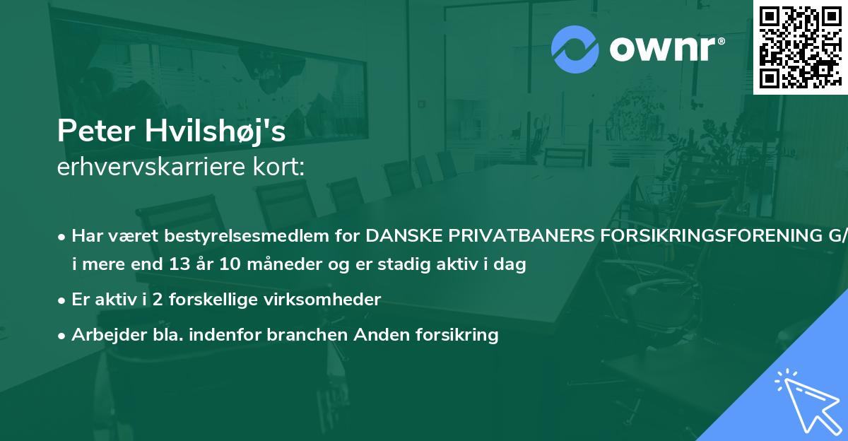 Peter Hvilshøj's erhvervskarriere kort