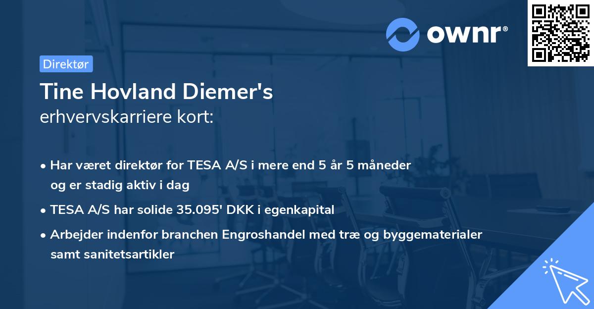 Tine Hovland Diemer's erhvervskarriere kort
