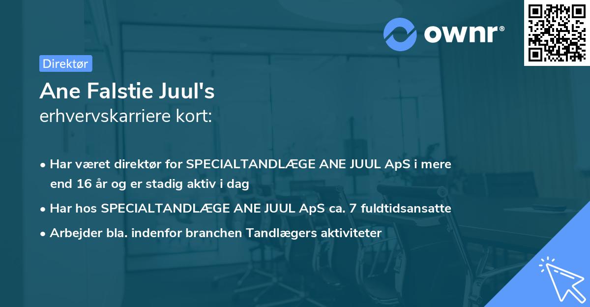 Ane Falstie Juul's erhvervskarriere kort