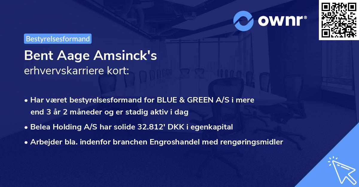 Bent Aage Amsinck's erhvervskarriere kort