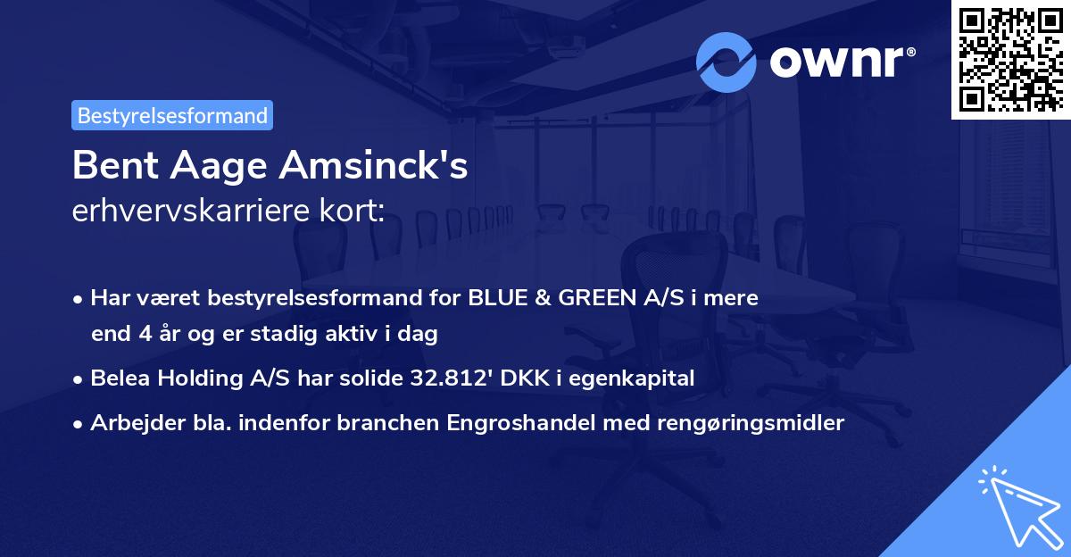 Bent Aage Amsinck's erhvervskarriere kort