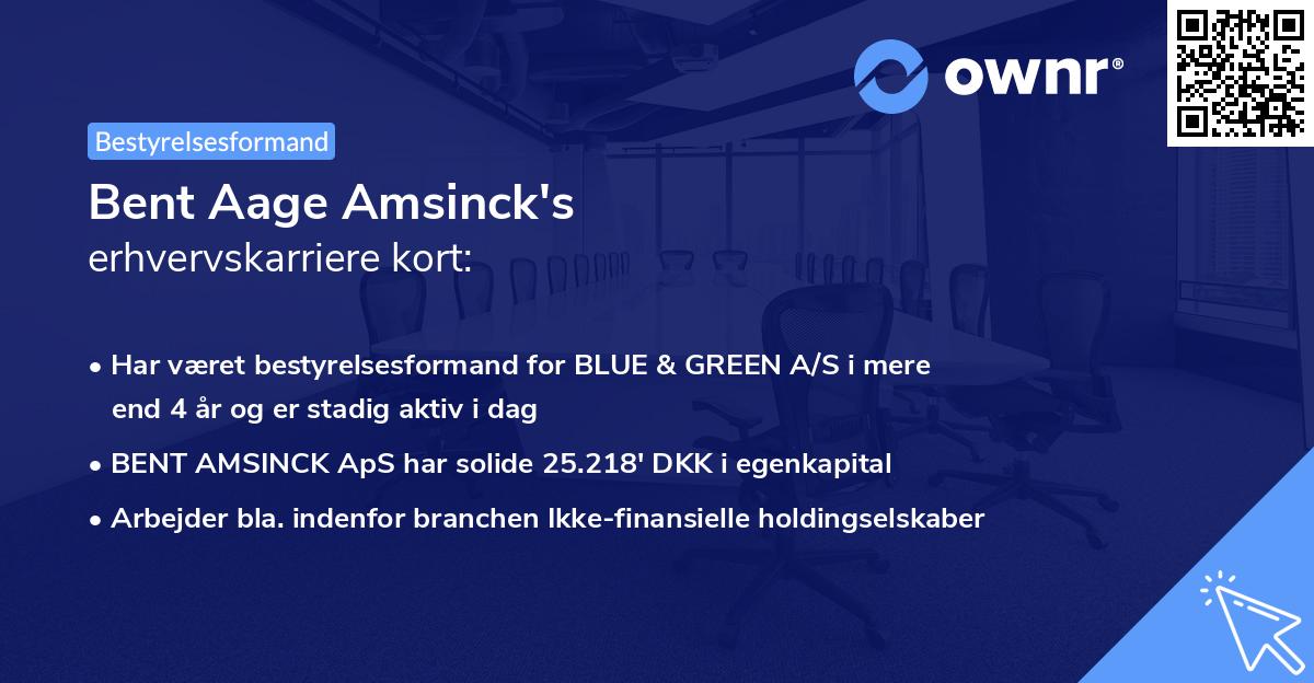 Bent Aage Amsinck's erhvervskarriere kort