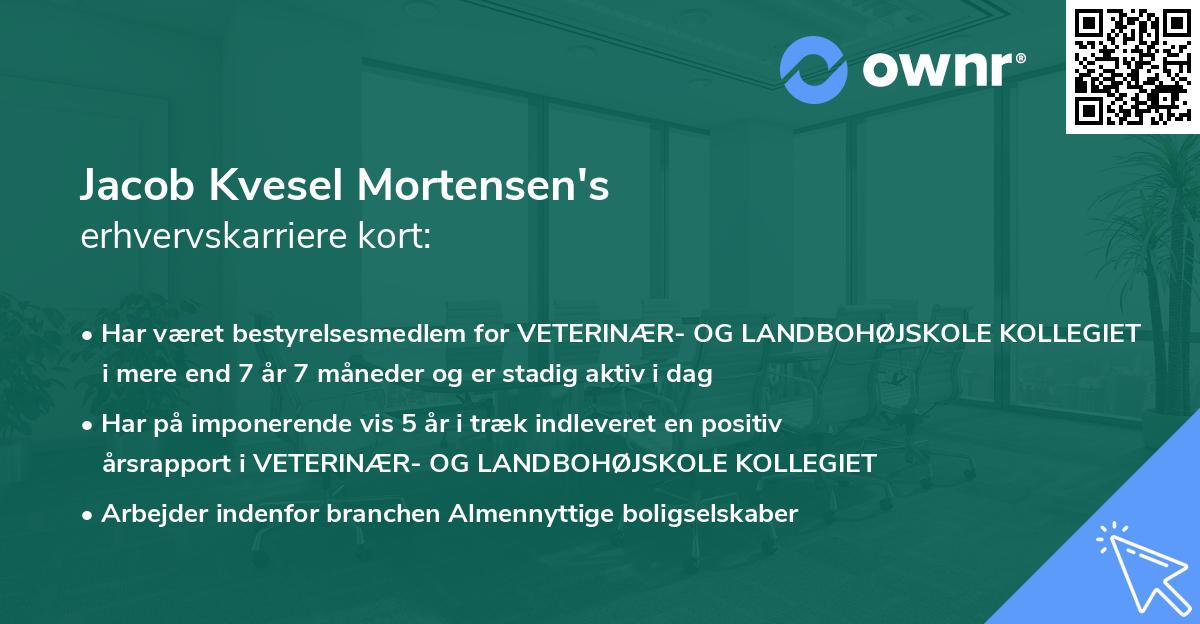 Jacob Kvesel Mortensen's erhvervskarriere kort