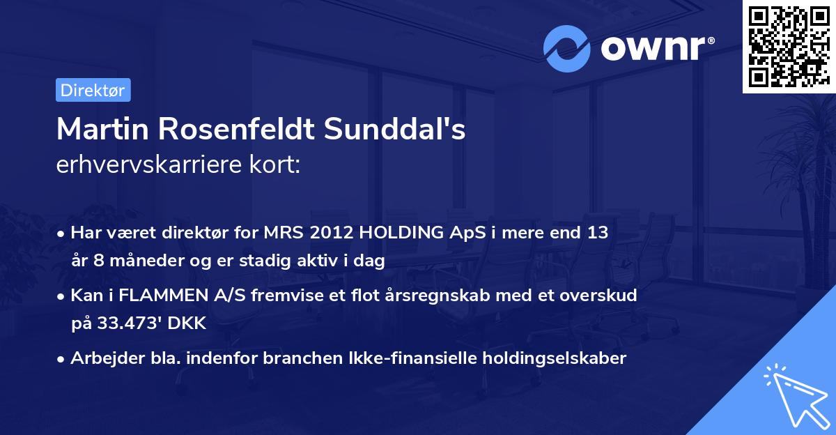 Martin Rosenfeldt Sunddal's erhvervskarriere kort