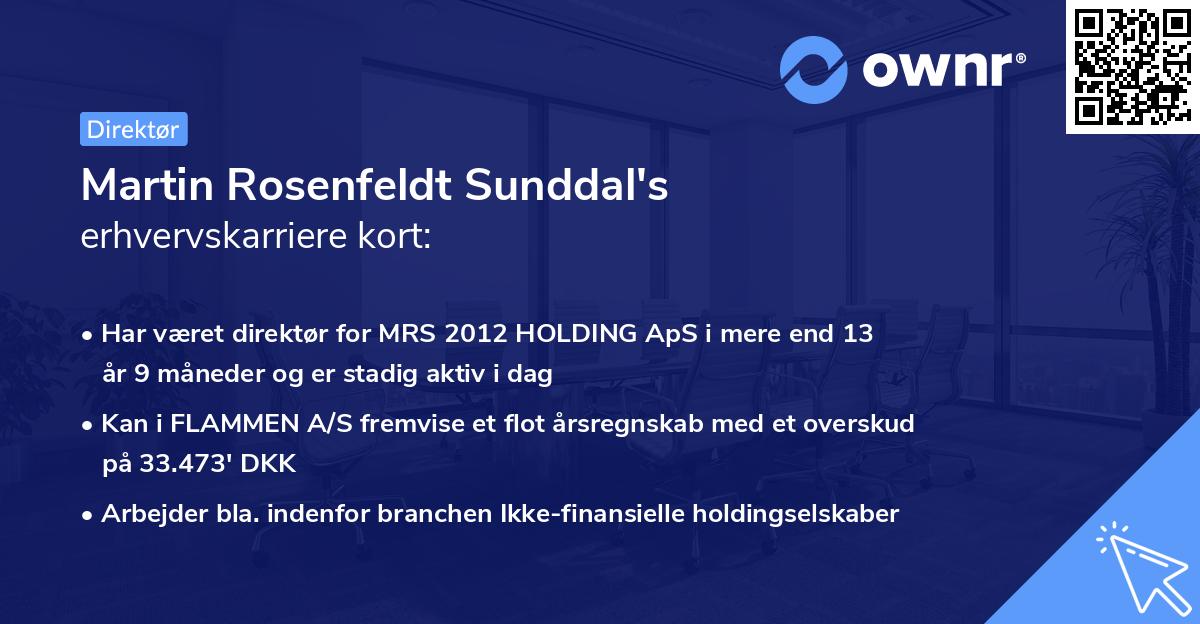 Martin Rosenfeldt Sunddal's erhvervskarriere kort