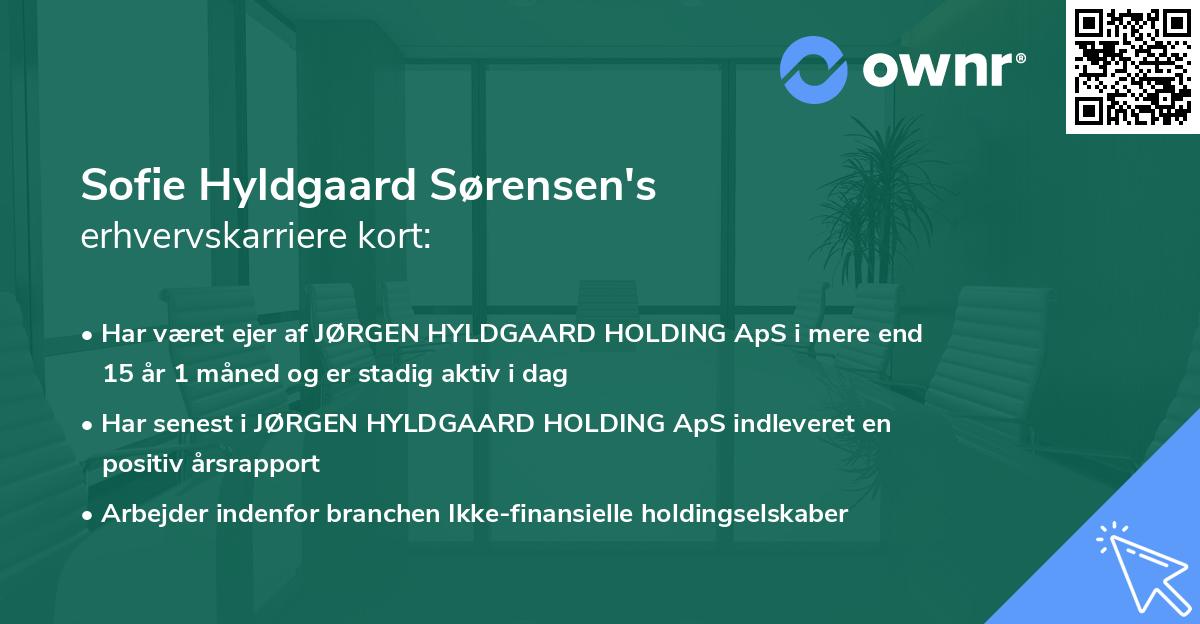 Sofie Hyldgaard Sørensen's erhvervskarriere kort
