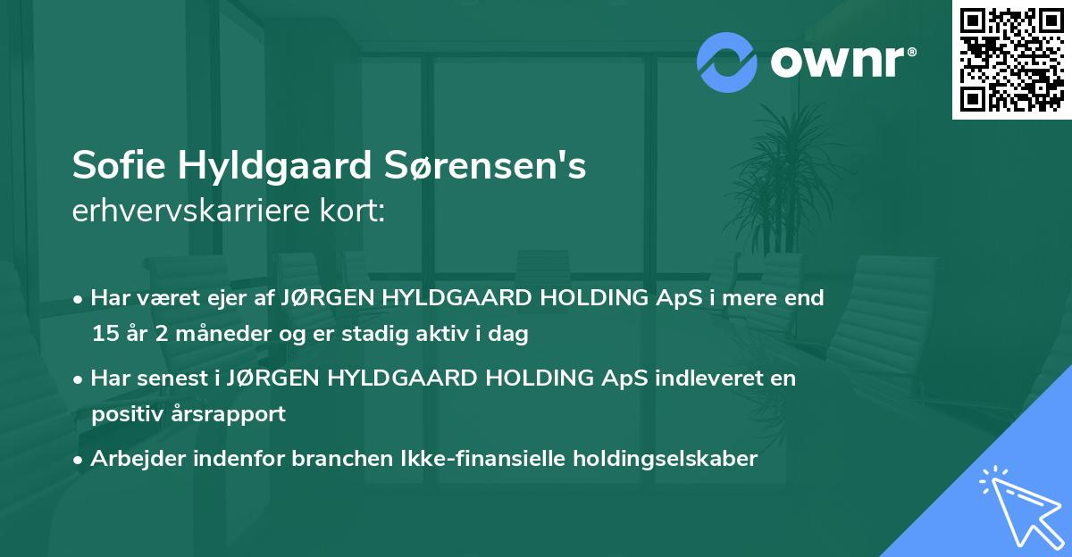 Sofie Hyldgaard Sørensen's erhvervskarriere kort