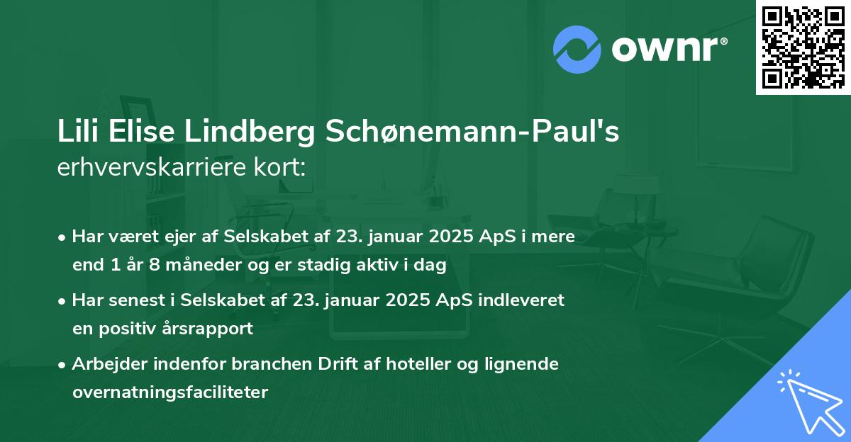 Lili Elise Lindberg Schønemann-Paul's erhvervskarriere kort