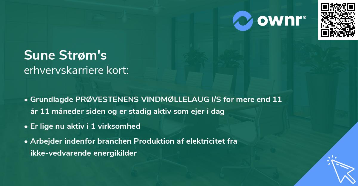 Sune Strøm's erhvervskarriere kort