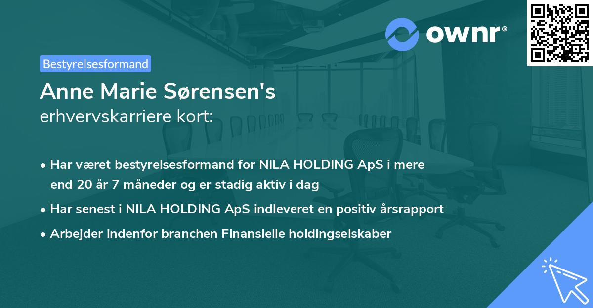 Anne Marie Sørensen's erhvervskarriere kort