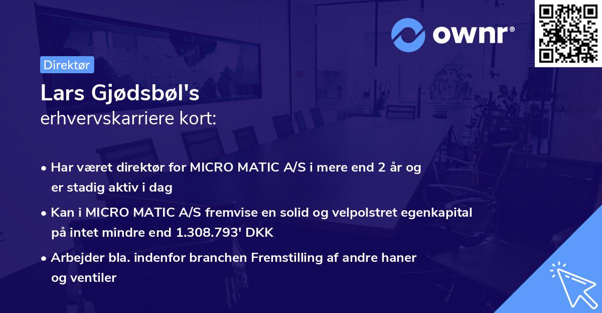 Lars Gjødsbøl's erhvervskarriere kort