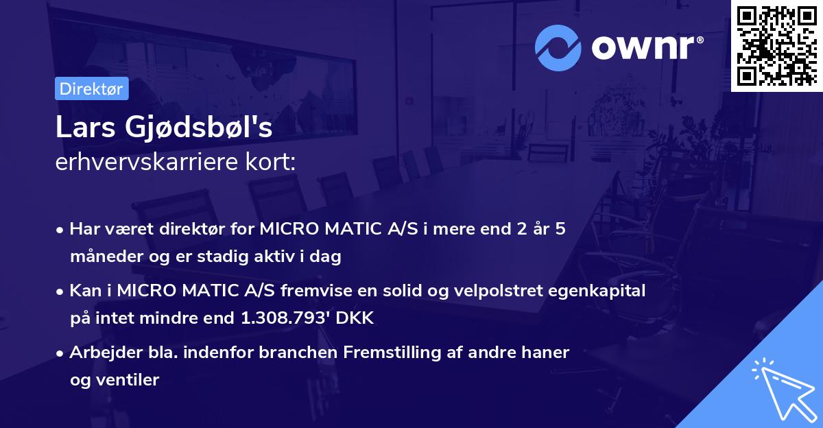 Lars Gjødsbøl's erhvervskarriere kort