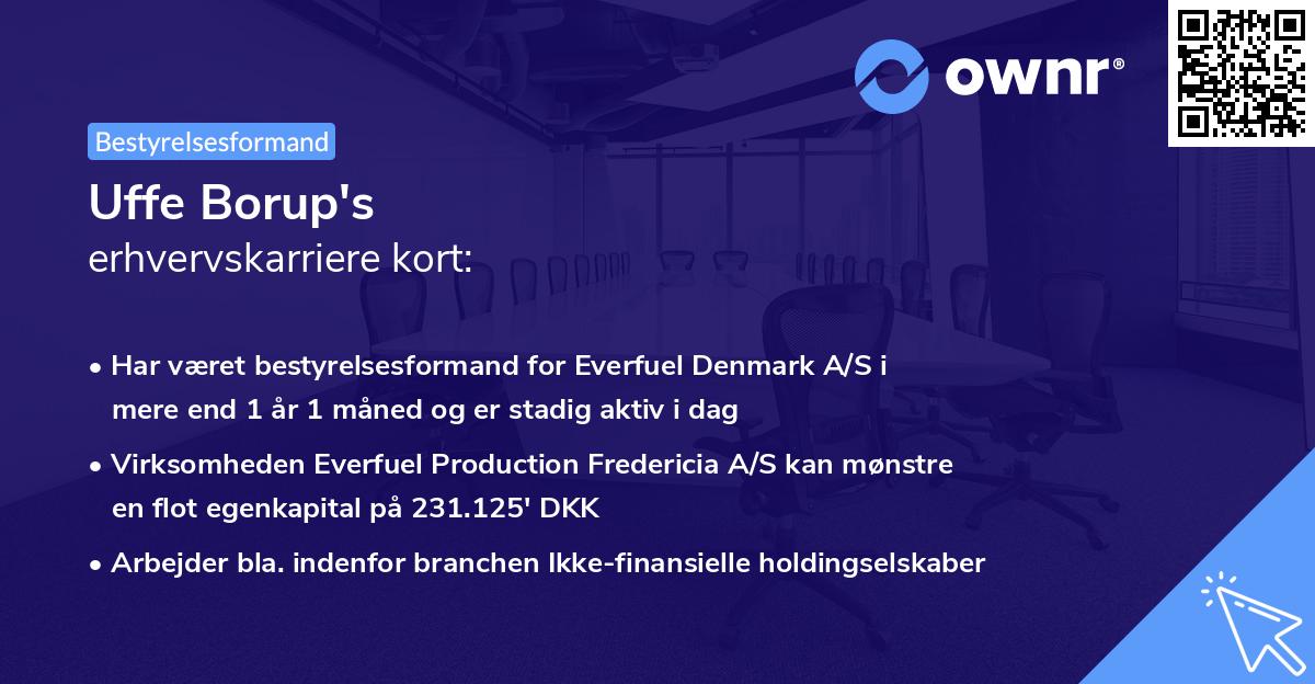 Uffe Borup's erhvervskarriere kort