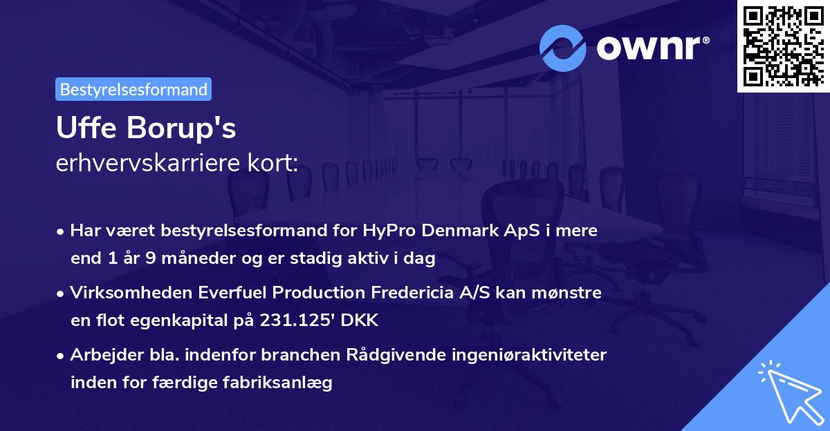 Uffe Borup's erhvervskarriere kort