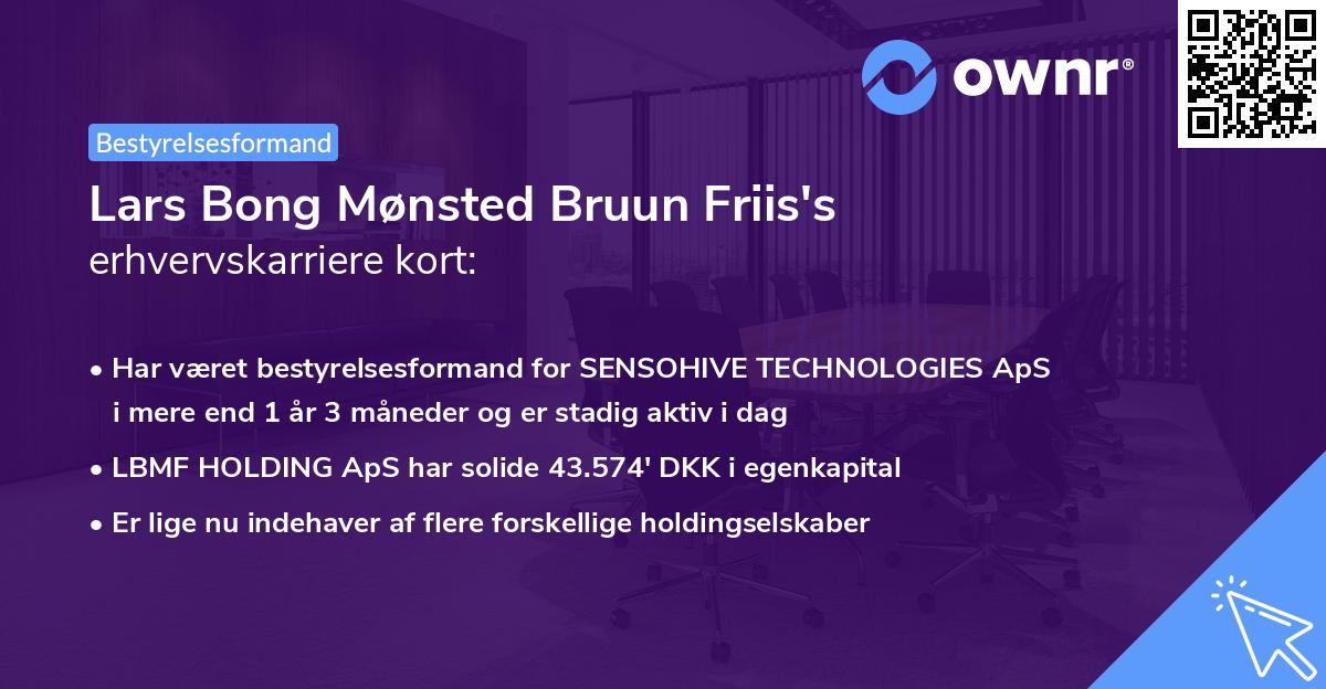 Lars Bong Mønsted Bruun Friis's erhvervskarriere kort