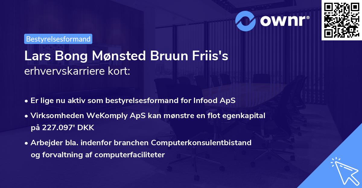 Lars Bong Mønsted Bruun Friis's erhvervskarriere kort