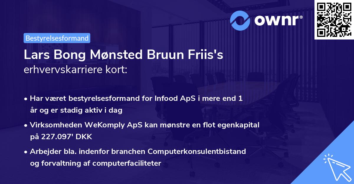 Lars Bong Mønsted Bruun Friis's erhvervskarriere kort