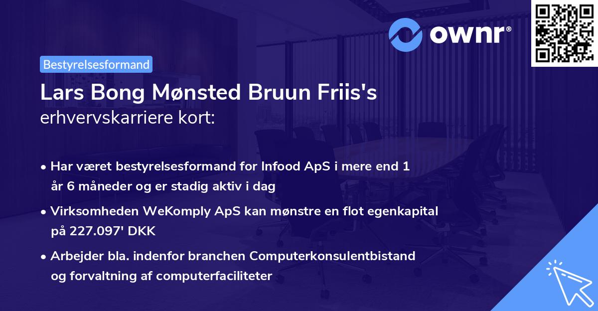 Lars Bong Mønsted Bruun Friis's erhvervskarriere kort