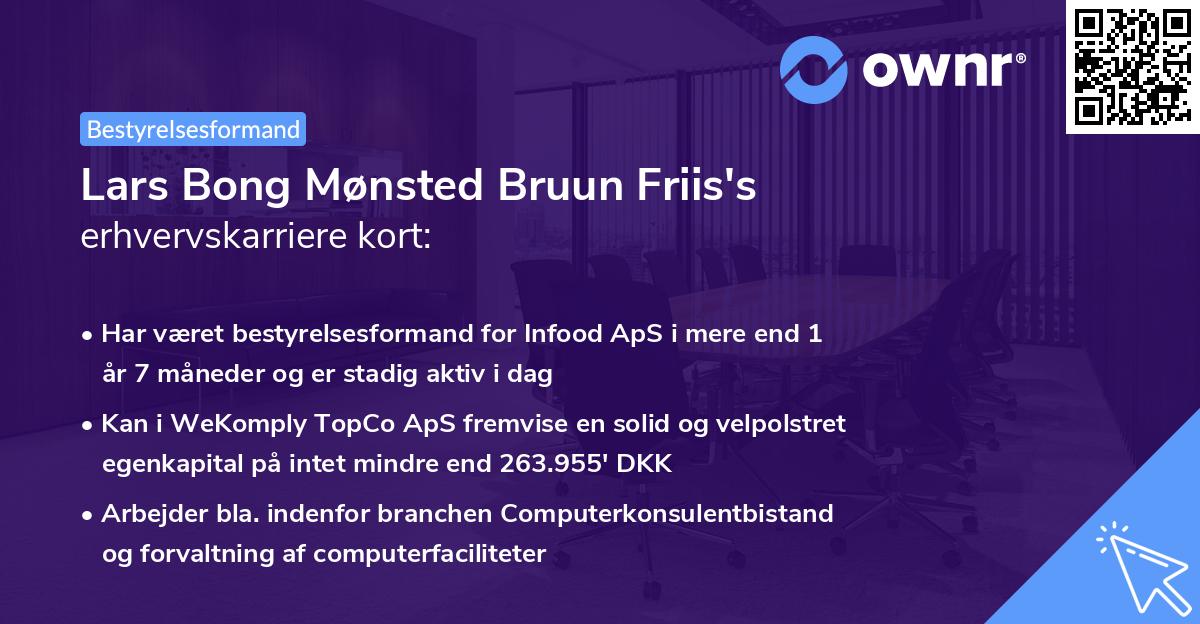Lars Bong Mønsted Bruun Friis's erhvervskarriere kort