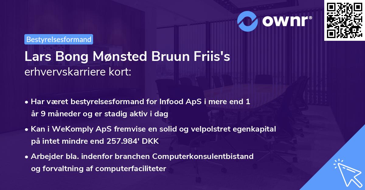 Lars Bong Mønsted Bruun Friis's erhvervskarriere kort