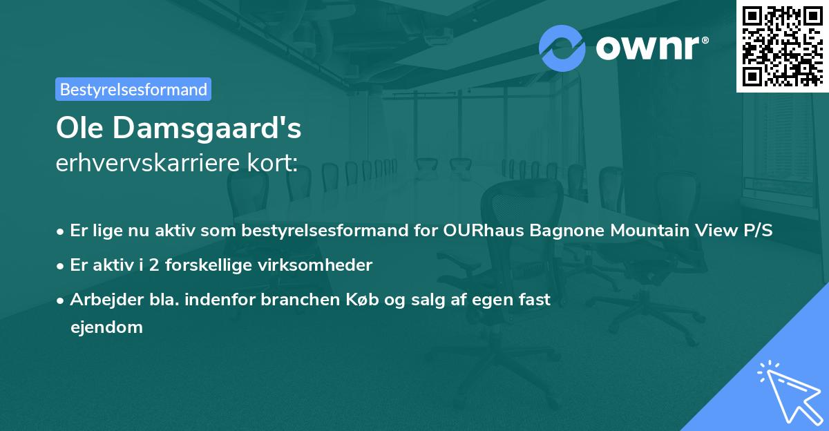 Ole Damsgaard's erhvervskarriere kort