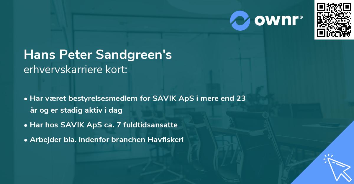 Hans Peter Sandgreen's erhvervskarriere kort