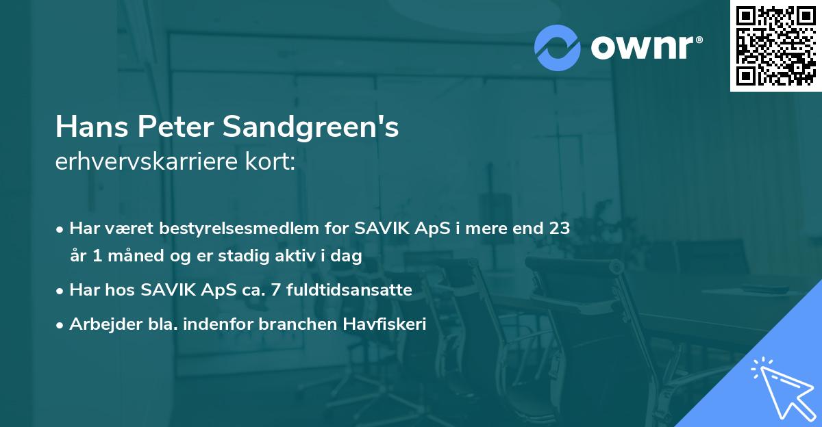 Hans Peter Sandgreen's erhvervskarriere kort