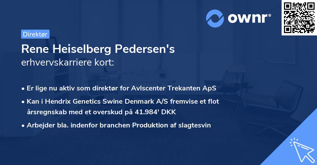 Rene Heiselberg Pedersen's erhvervskarriere kort