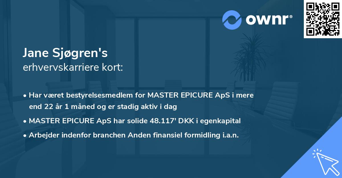 Jane Sjøgren's erhvervskarriere kort