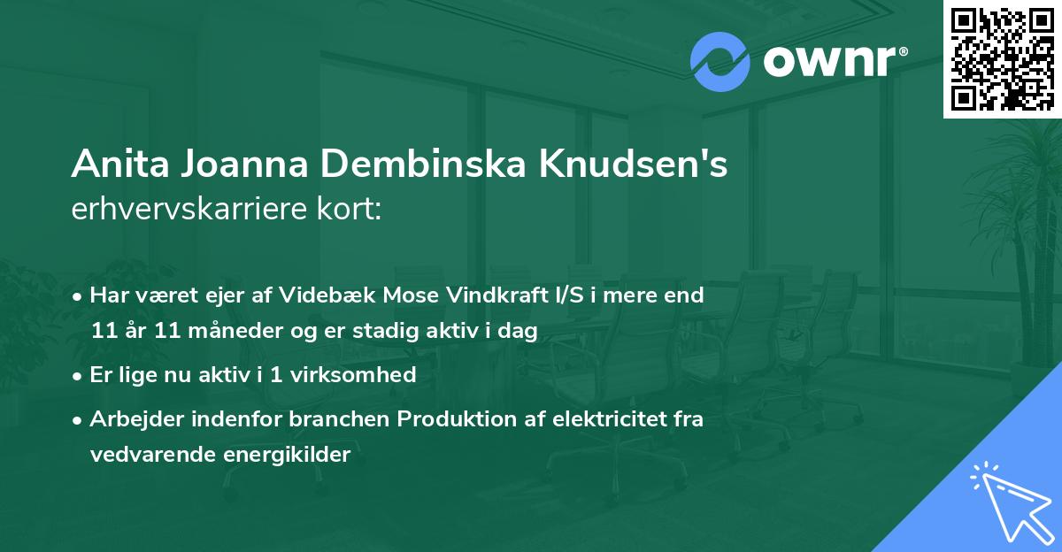 Anita Joanna Dembinska Knudsen's erhvervskarriere kort