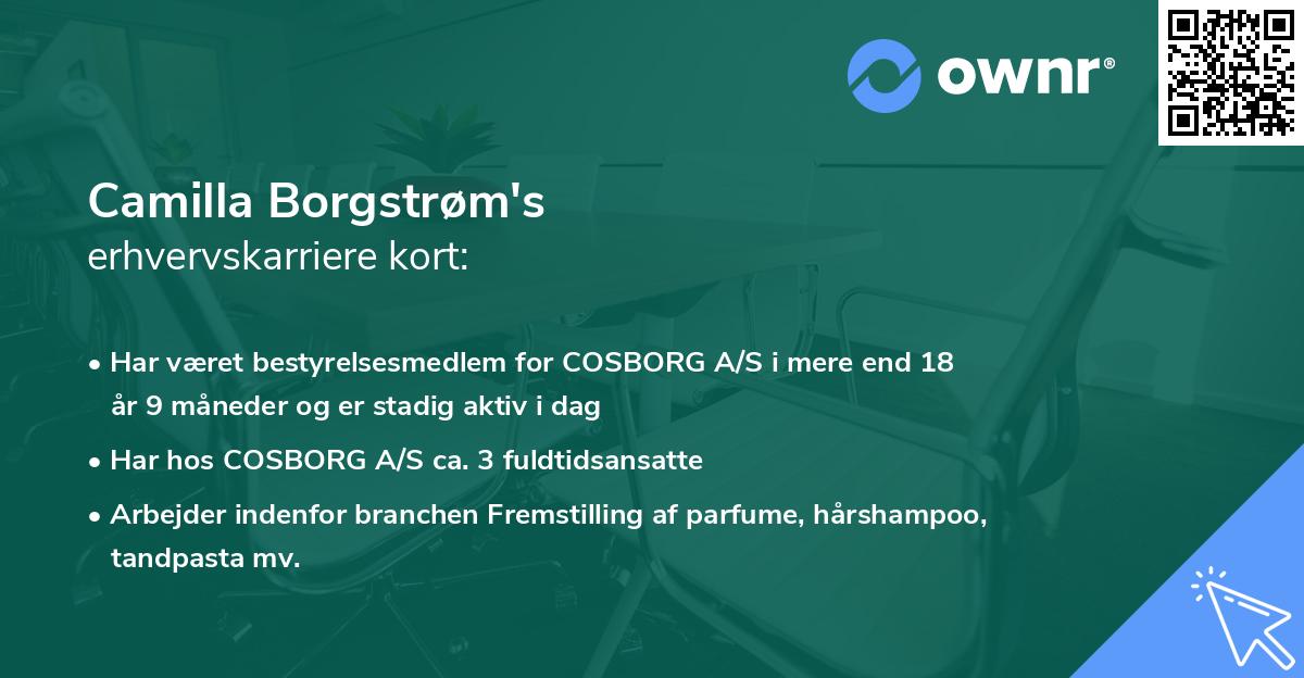 Camilla Borgstrøm's erhvervskarriere kort