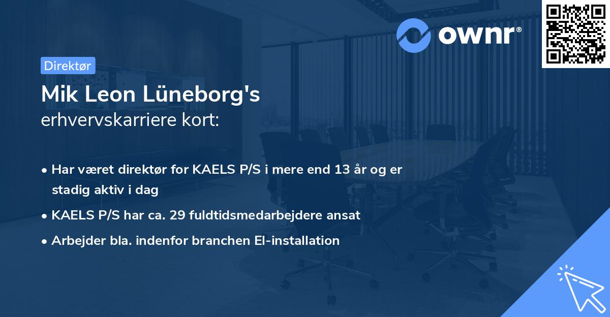 Mik Leon Lüneborg's erhvervskarriere kort