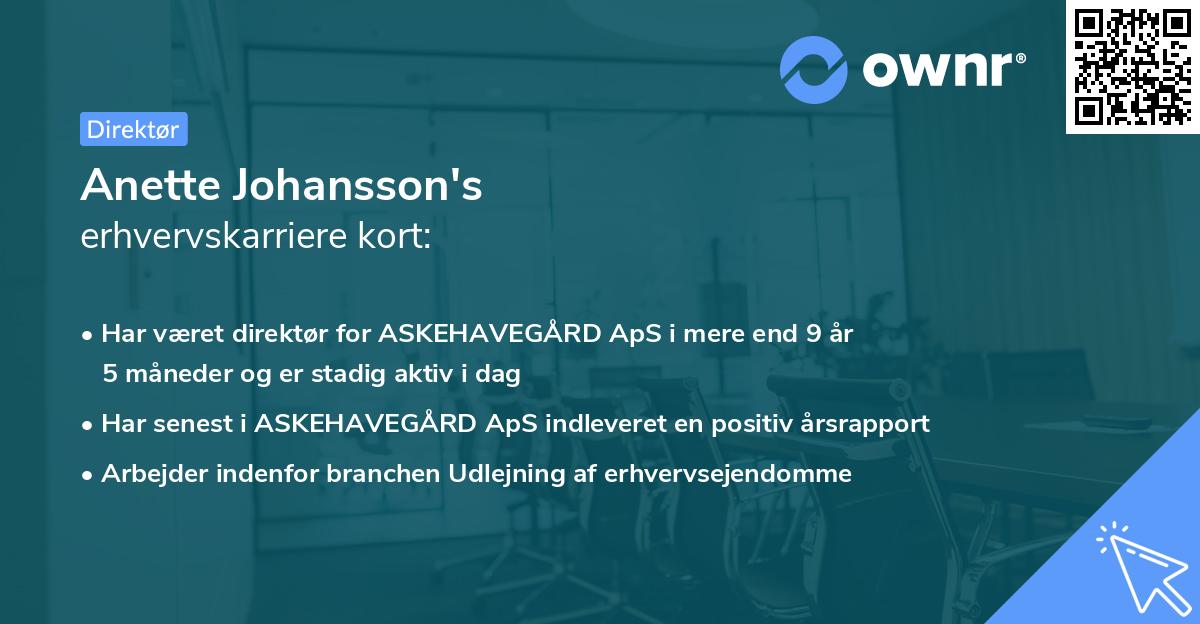 Anette Johansson's erhvervskarriere kort