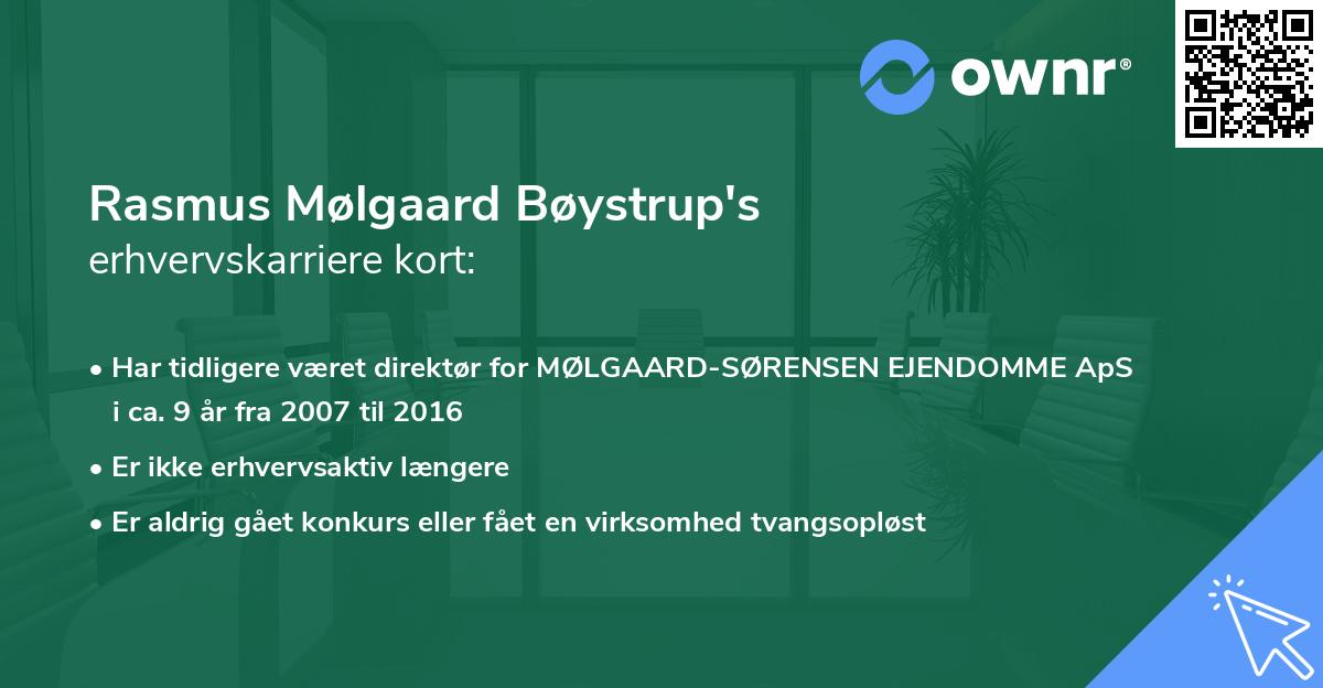 Rasmus Mølgaard Bøystrup's erhvervskarriere kort