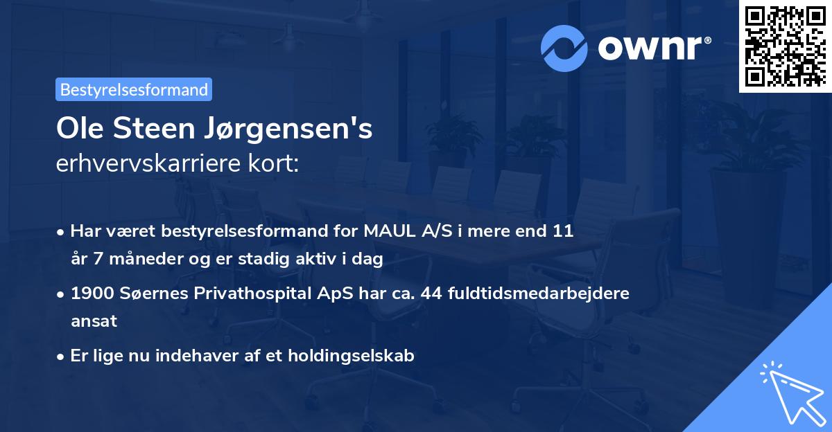 Ole Steen Jørgensen's erhvervskarriere kort