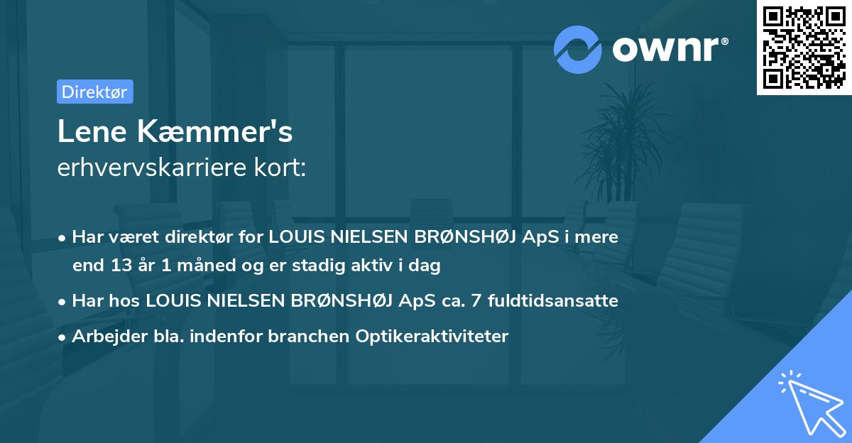 Lene Kæmmer's erhvervskarriere kort