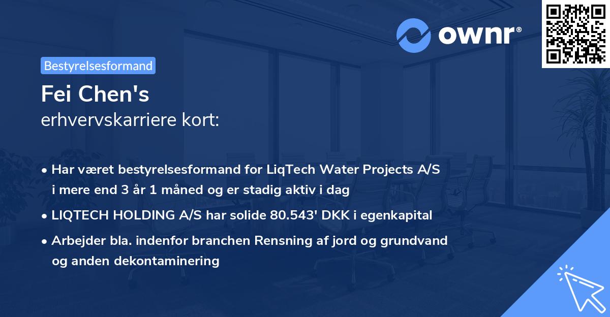 Fei Chen's erhvervskarriere kort