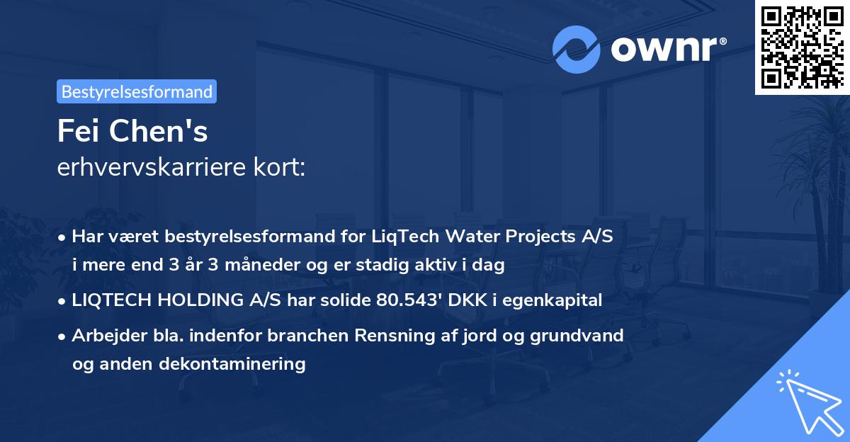 Fei Chen's erhvervskarriere kort