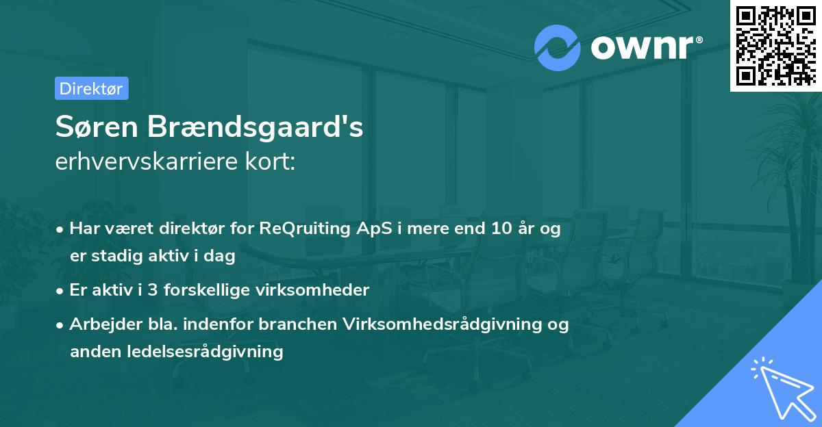 Søren Brændsgaard's erhvervskarriere kort