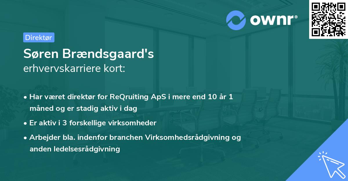 Søren Brændsgaard's erhvervskarriere kort