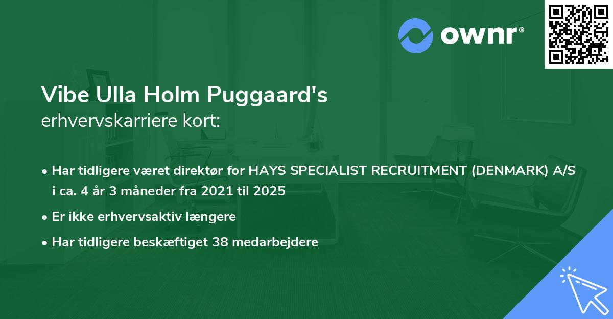 Vibe Ulla Holm Puggaard's erhvervskarriere kort