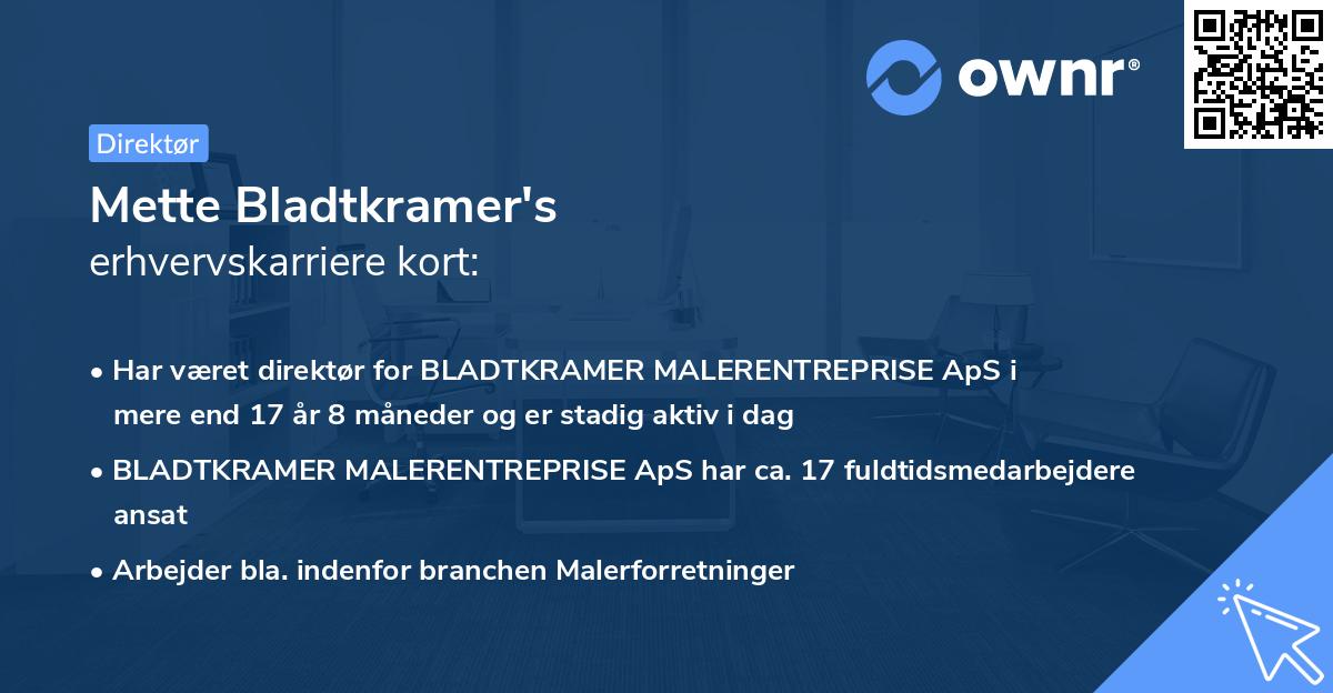 Mette Bladtkramer's erhvervskarriere kort