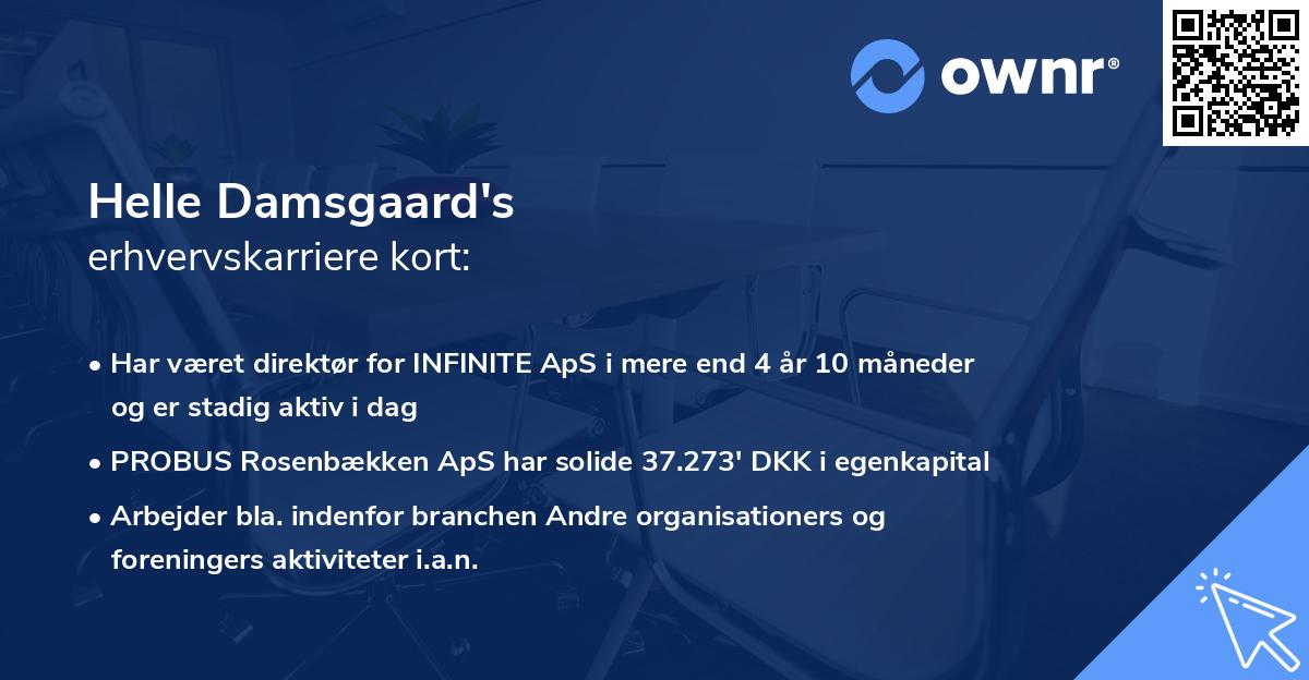 Helle Damsgaard's erhvervskarriere kort