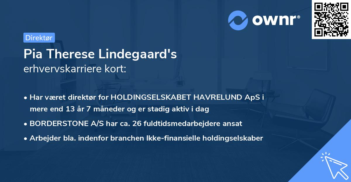 Pia Therese Lindegaard's erhvervskarriere kort