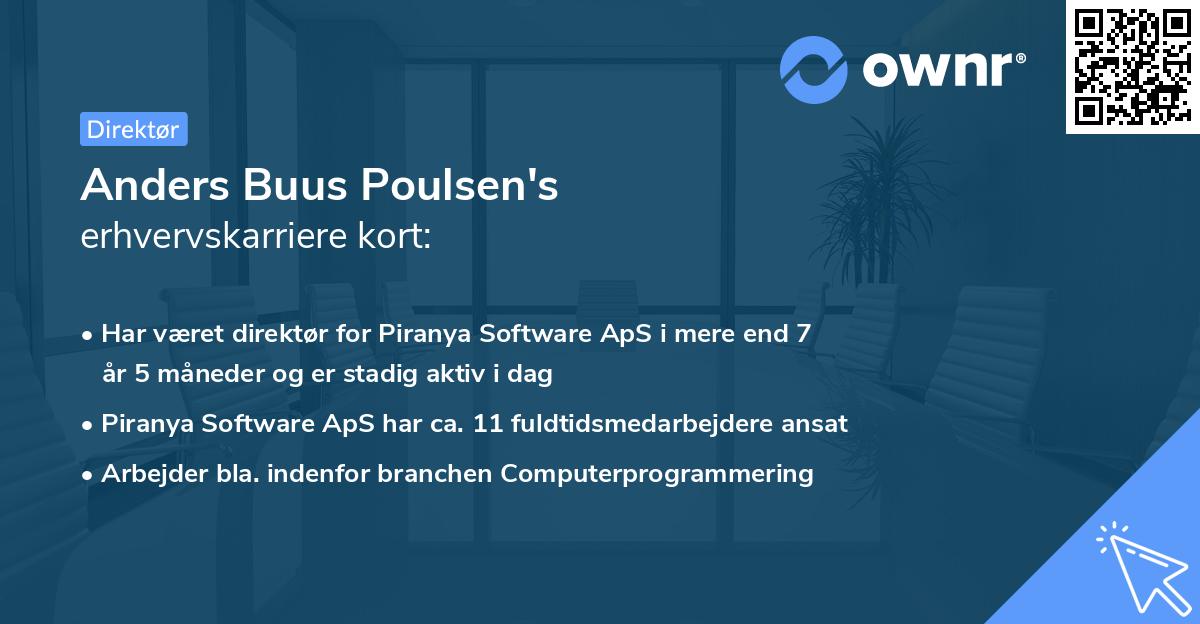 Anders Buus Poulsen's erhvervskarriere kort