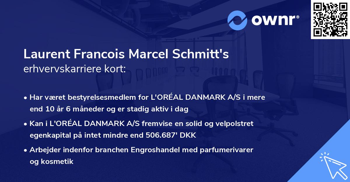 Laurent Francois Marcel Schmitt's erhvervskarriere kort