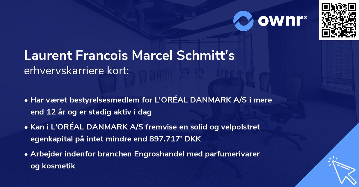 Laurent Francois Marcel Schmitt's erhvervskarriere kort