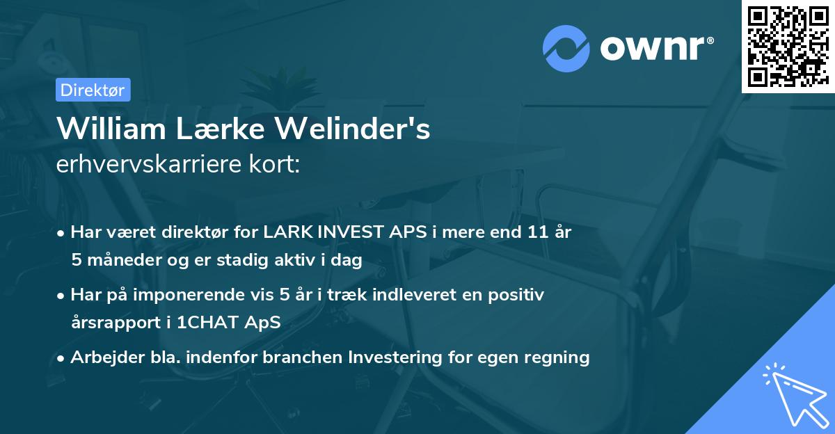 William Lærke Welinder's erhvervskarriere kort