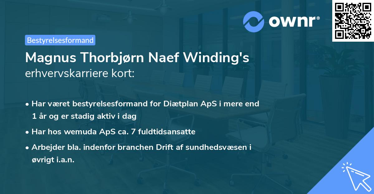Magnus Thorbjørn Naef Winding's erhvervskarriere kort